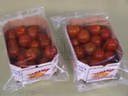 Empacado de charola de tomate cherry en flow pack