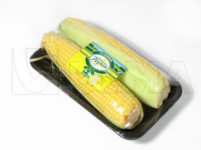 Envasado de mazorcas de maiz en en film extensible con bandeja expandadida y fim PVC.