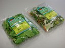 Empacado de hortalizas en cuarta gama en bolsa tipo almohadilla